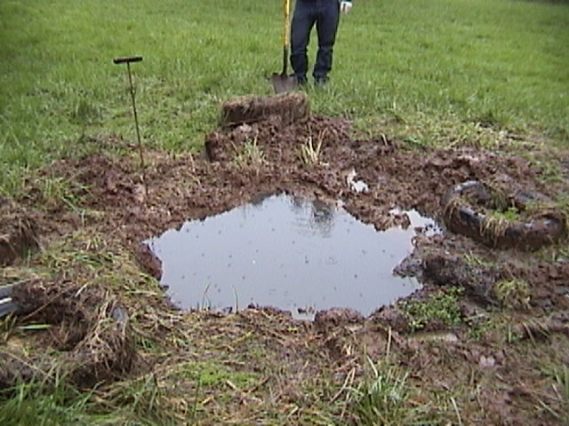 septic tank repair texas cities 
      zip batch